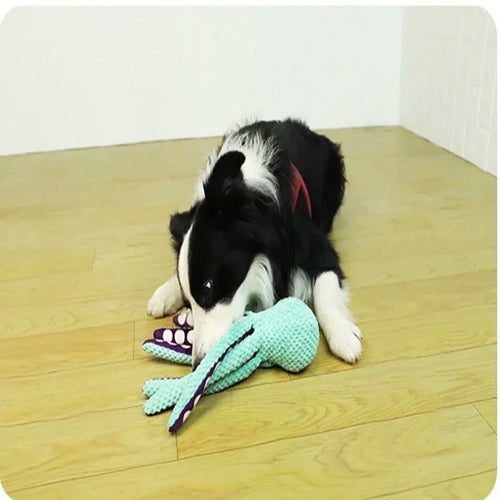 Interactive Plush Dog Toy